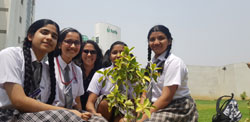 St. Mark's Girls School, Meera Bagh - Pro Socio Peer Moderator Programme : Click to Enlarge